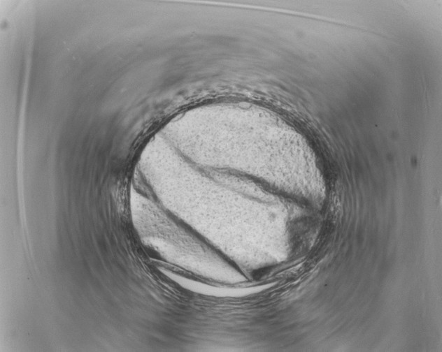 X0000088031490200706011336