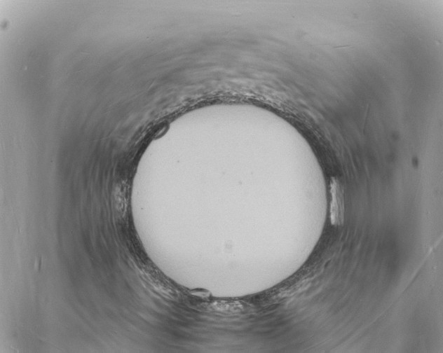 X0000088031491200706011336