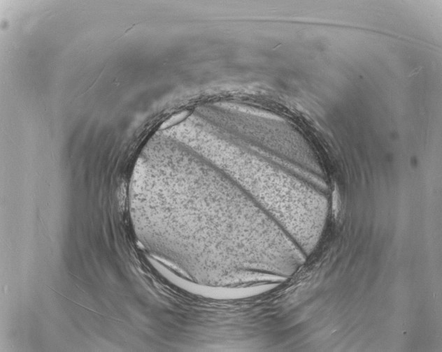 X0000088031492200706011336