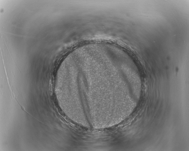 X0000088031493200706011336