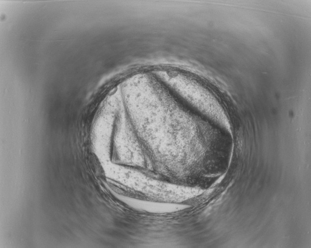 X0000088031494200706011336