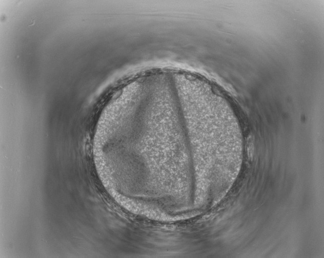 X0000088031495200706011336