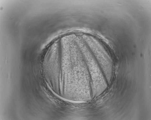 X0000088031496200706011336