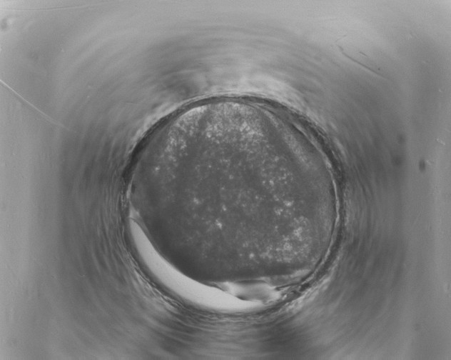 X0000088031497200706011336