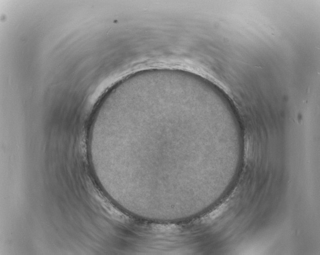 X0000088031498200706011336