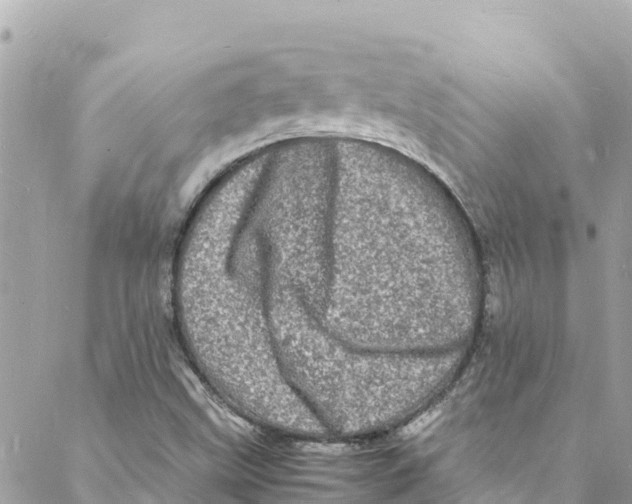 X0000088031499200706011336