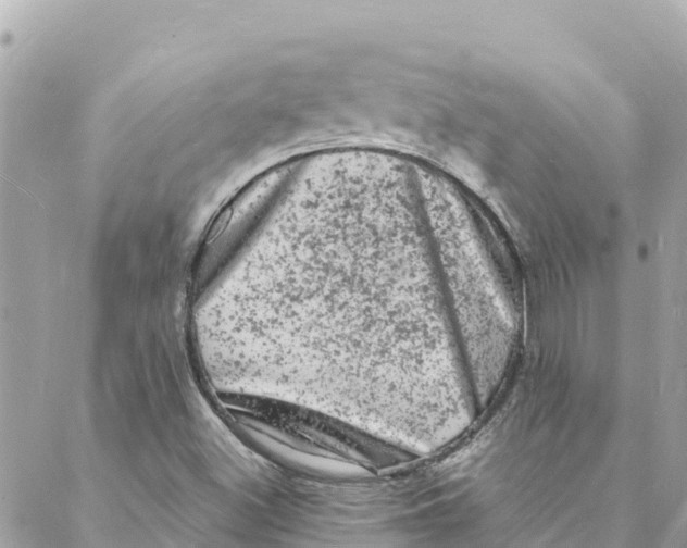 X0000088031500200706011336