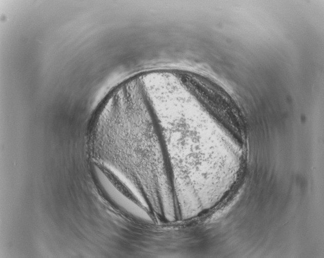 X0000088031501200706011336