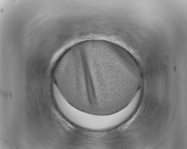 X0000088031502200706011336