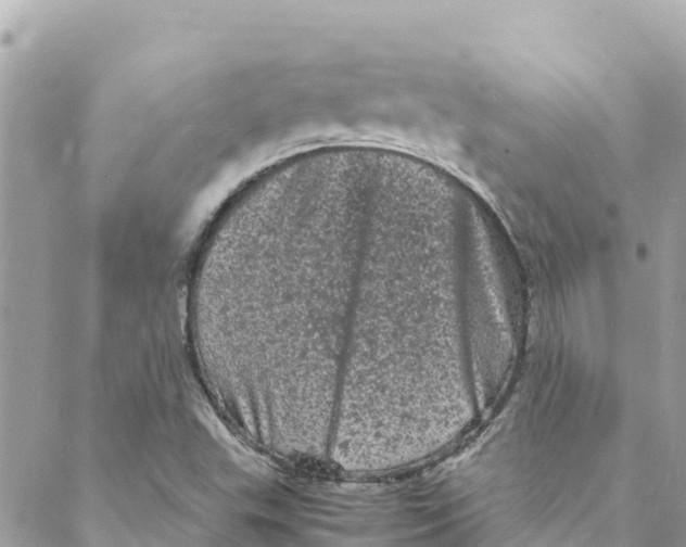 X0000088031503200706011336