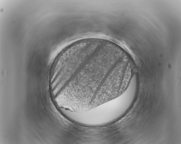 X0000088031504200706011336