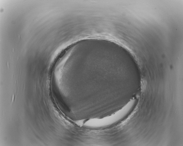 X0000088031506200706011336