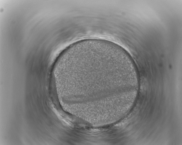 X0000088031507200706011336