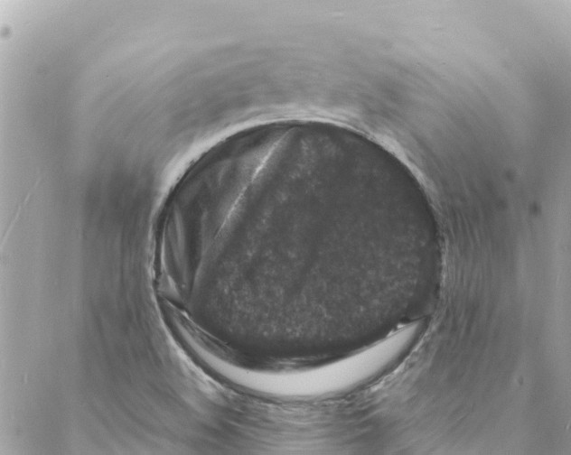 X0000088031508200706011336