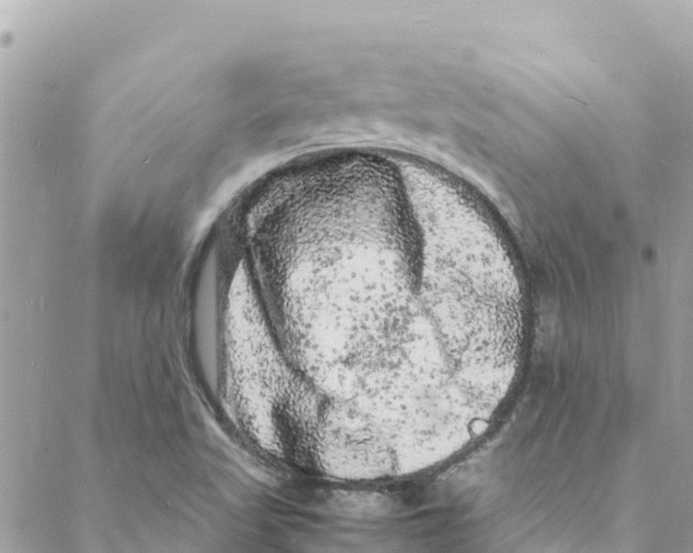 X0000088031509200706011336