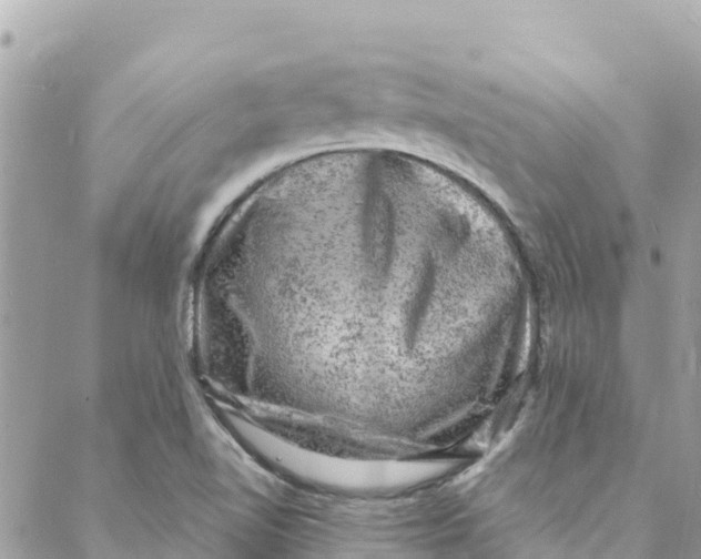 X0000088031510200706011336