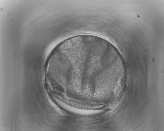 X0000088031511200706011336