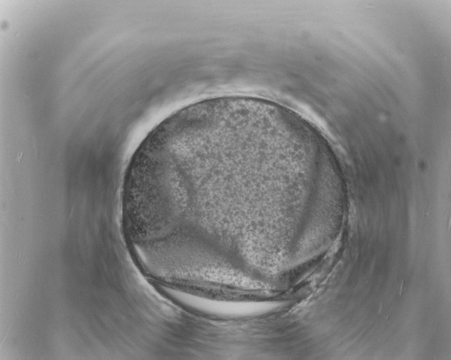 X0000088031512200706011336