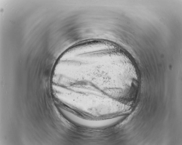 X0000088031513200706011336