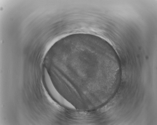 X0000088031515200706011337