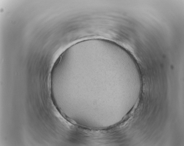 X0000088031516200706011337