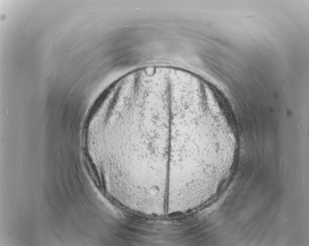 X0000088031517200706011337