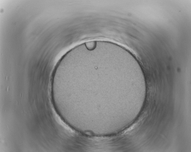 X0000088031518200706011337