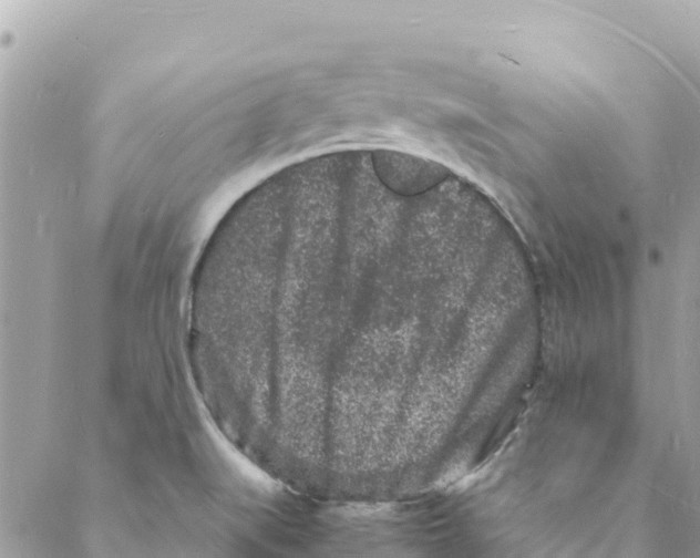 X0000088031519200706011337