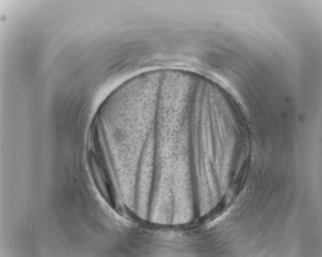 X0000088031520200706011337