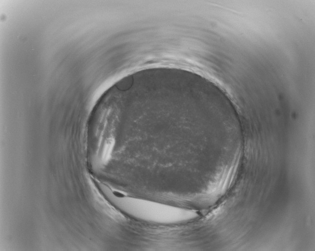 X0000088031522200706011337