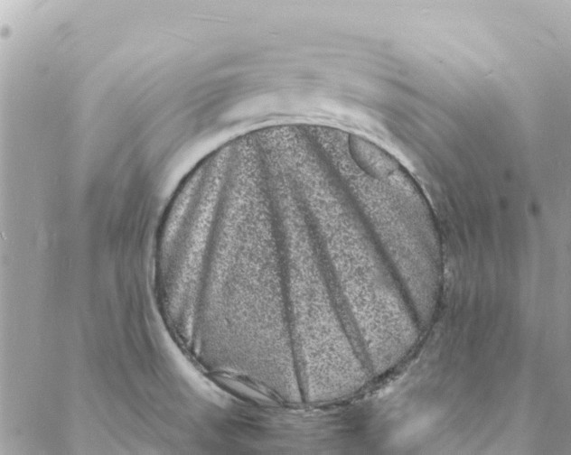 X0000088031523200706011337