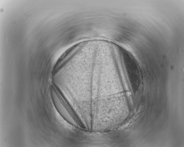 X0000088031524200706011337