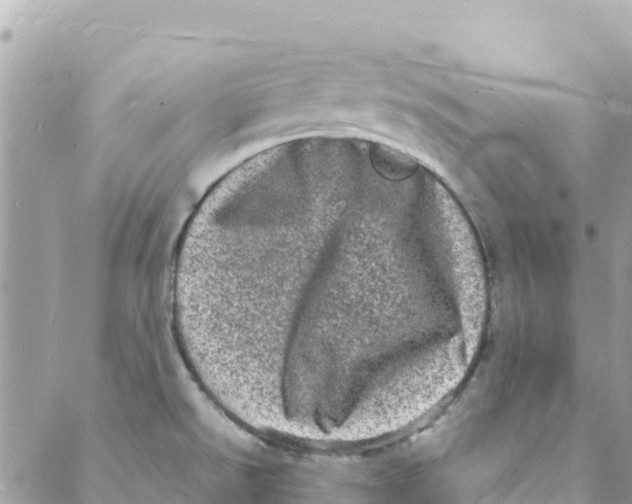 X0000088031526200706011337