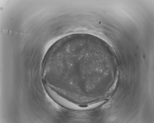 X0000088031527200706011337