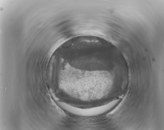 X0000088031529200706011337