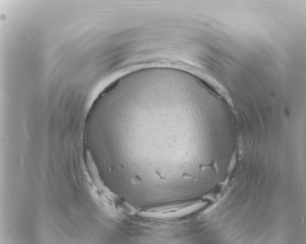 X0000088031530200706011337