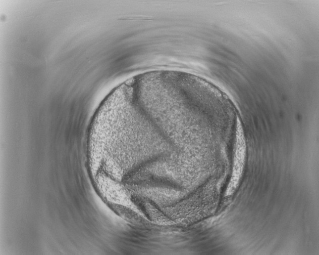 X0000088031531200706011337