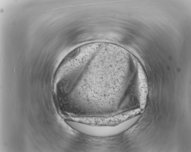 X0000088031532200706011337