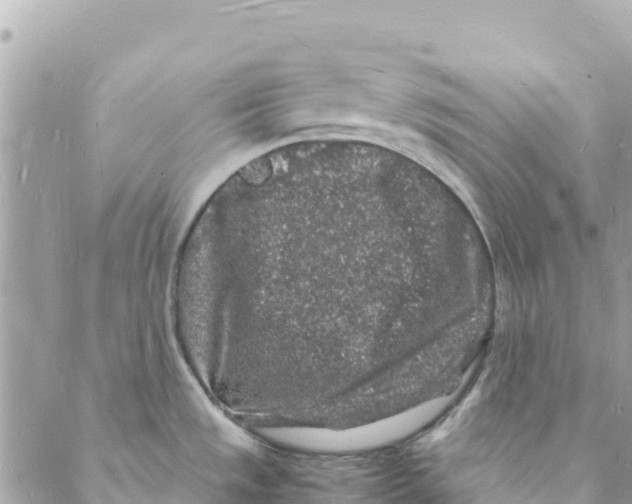 X0000088031533200706011337