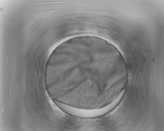 X0000088031534200706011337