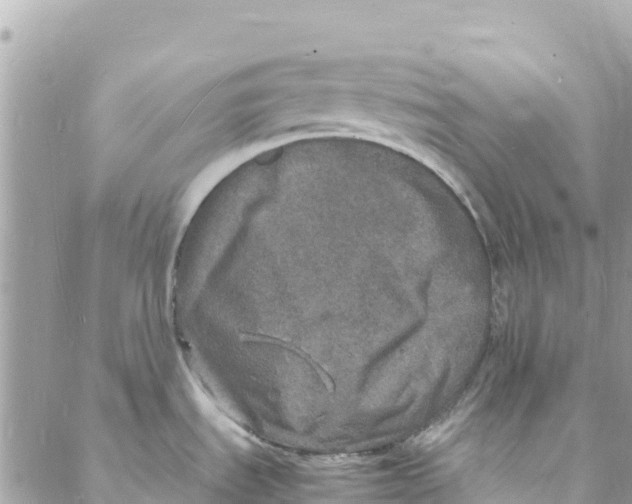 X0000088031535200706011337