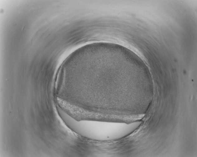 X0000088031536200706011337