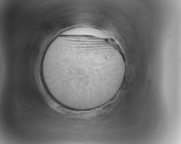 X0000088030001200706081511