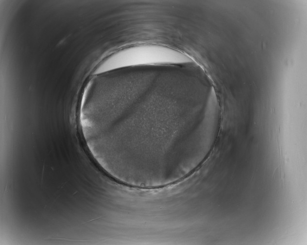 X0000088030002200706081511