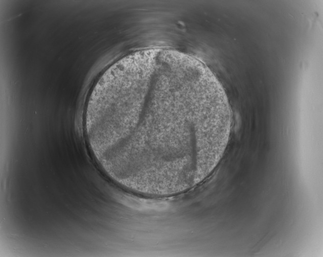 X0000088030004200706081511