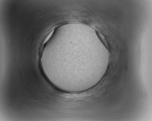 X0000088030005200706081511