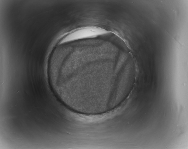 X0000088030006200706081511