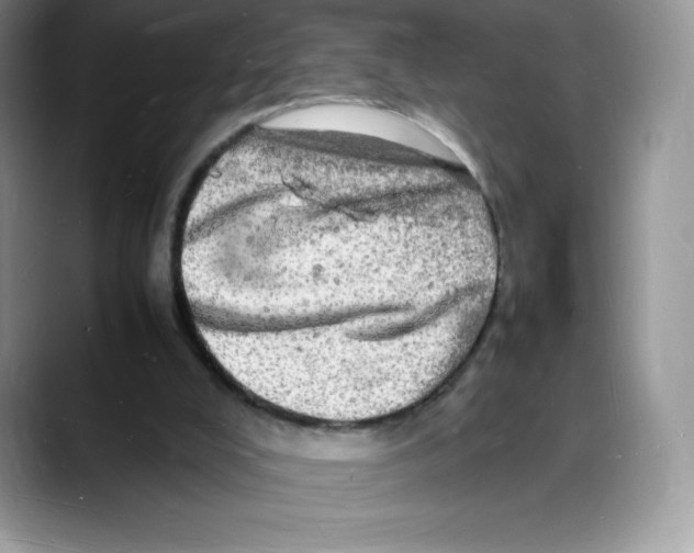 X0000088030008200706081511