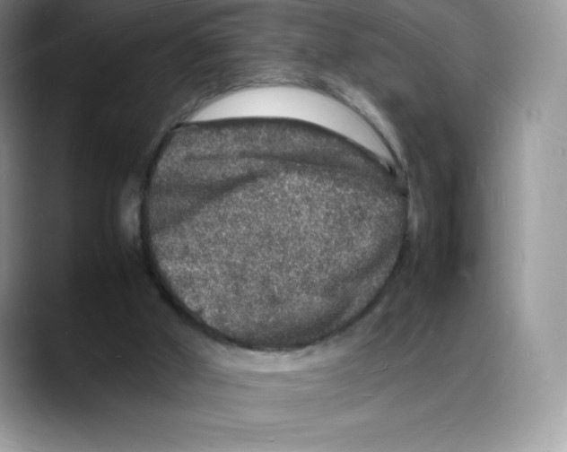 X0000088030010200706081511