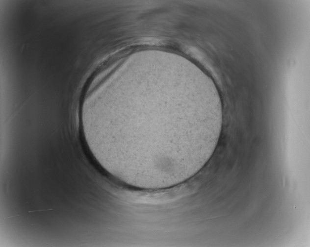 X0000088030011200706081511